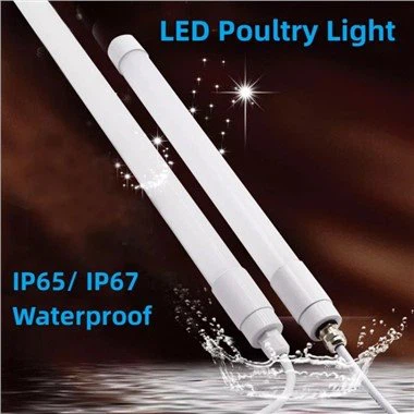 Led Tube Lights 12v