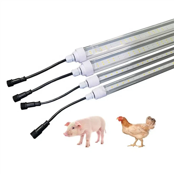 48V tube light