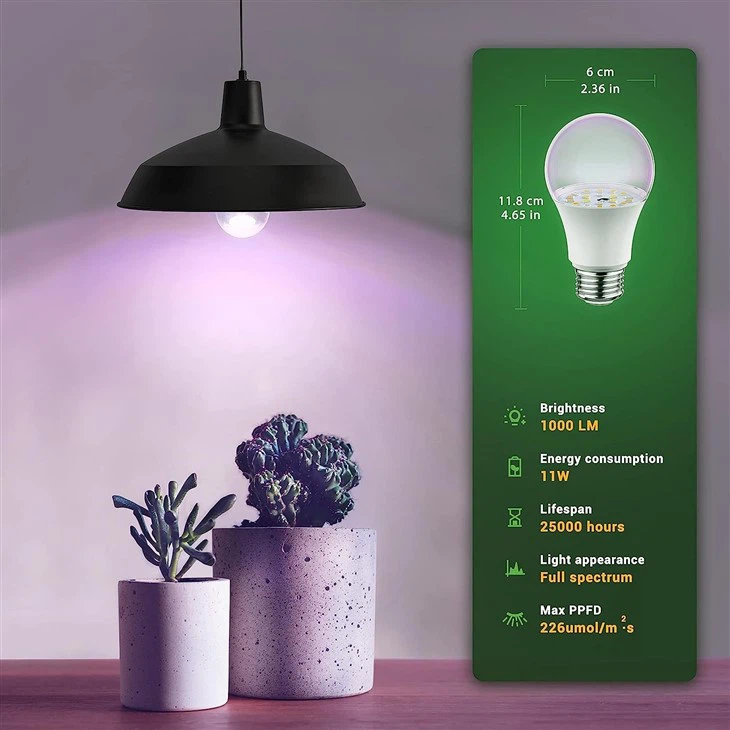 11W Grow Bulb Red & Blue 1