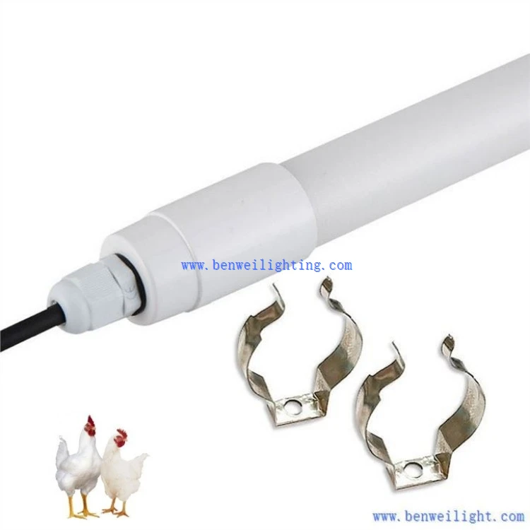 chicken coop light fixture