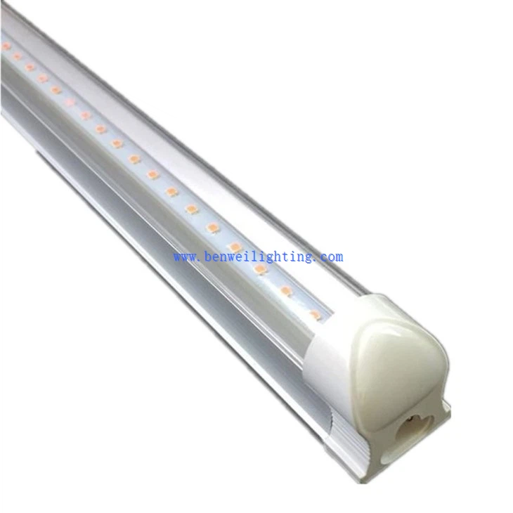 grow lights for seedlings