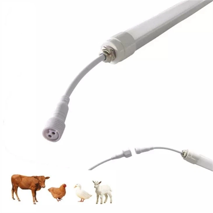 Cattle Barn Lamp