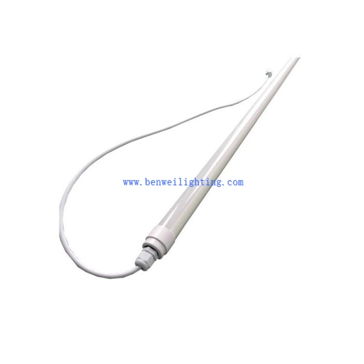 Chicken Light With 0-12V 5400K 10W 20W