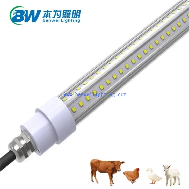 Chicken Light With 0-12V 5400K 12W 25W
