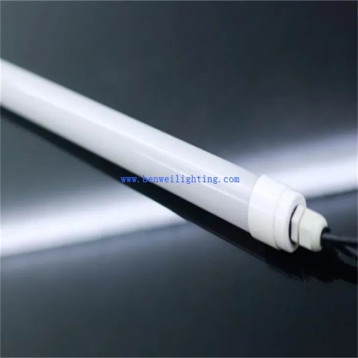 Cool White Poultry Light (5)