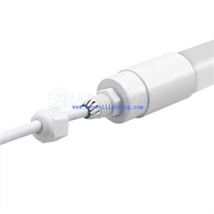 Cool White Poultry Light (4)
