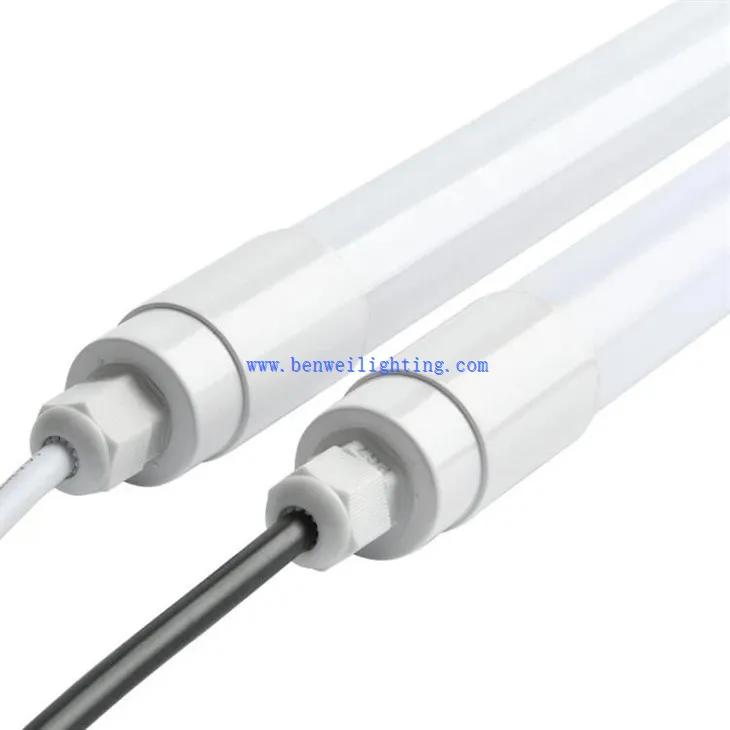 Cool White Poultry Light (1)