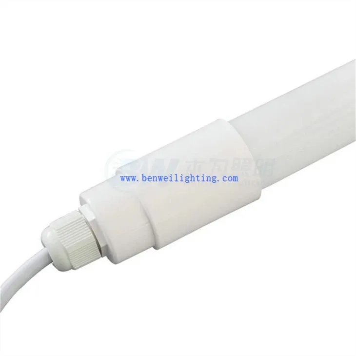 Cool White Poultry Light (3)