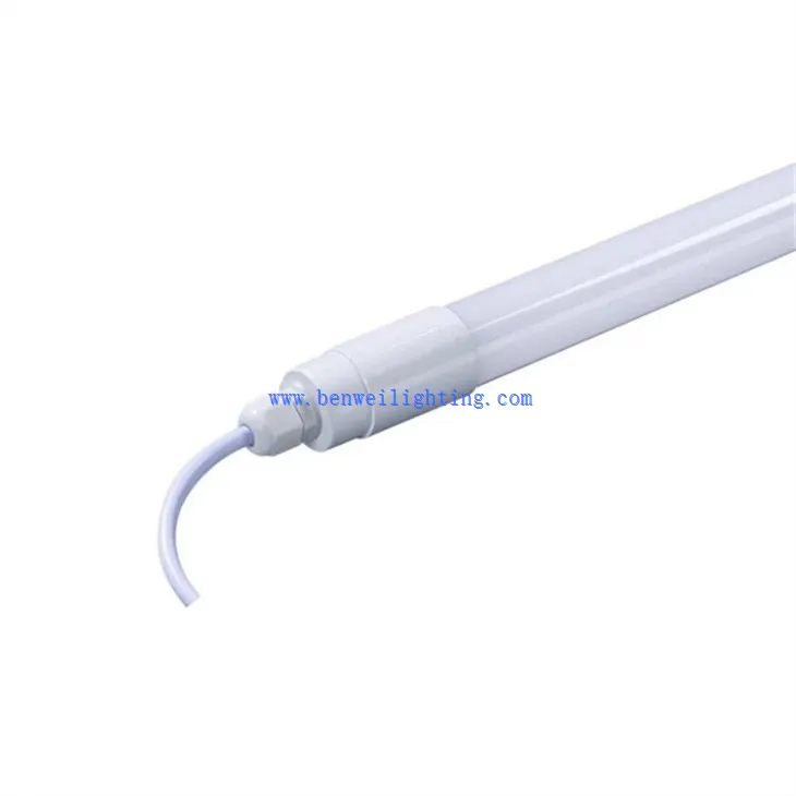 Cool White Poultry Light (2)