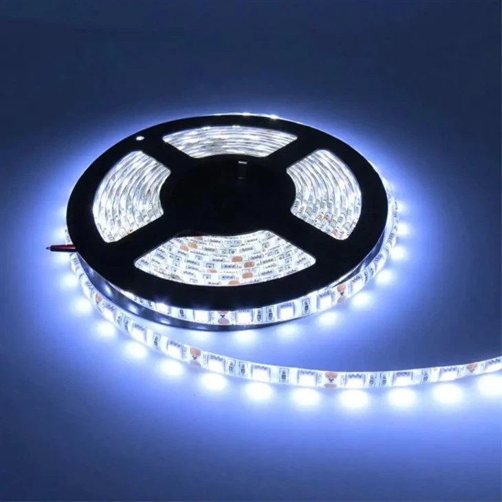 CRI 80 Led Strip 24v/12v