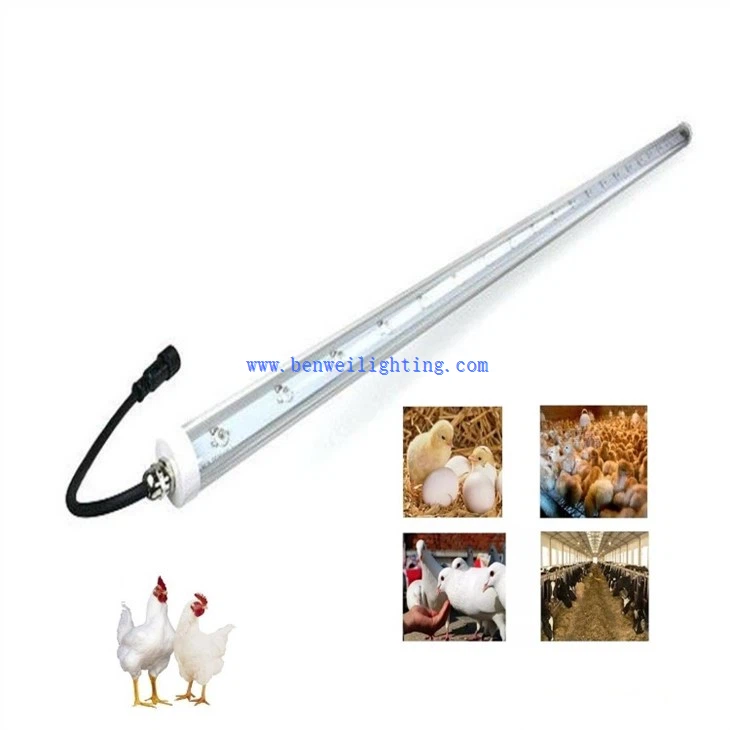 chicken coop lighting system