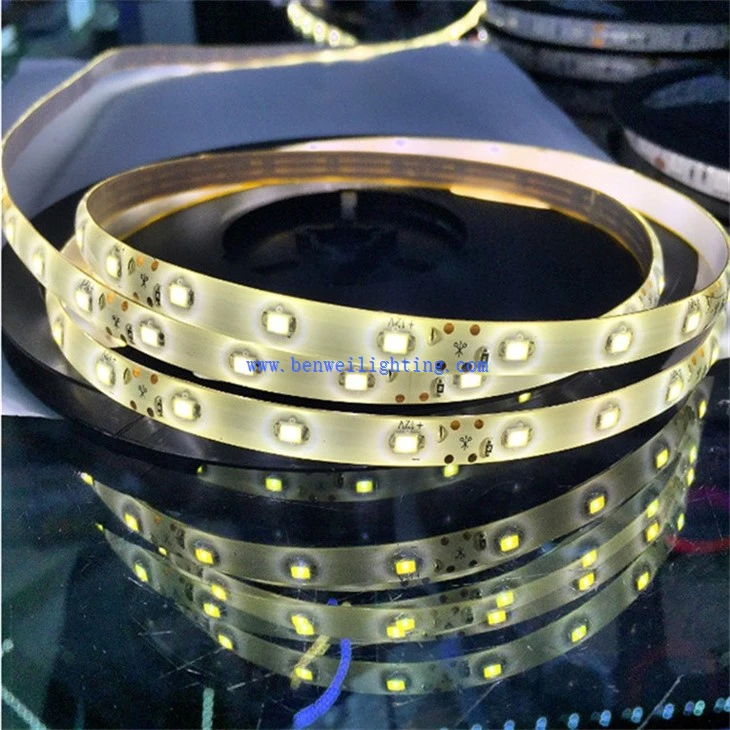 Flexible Rope Light (5)