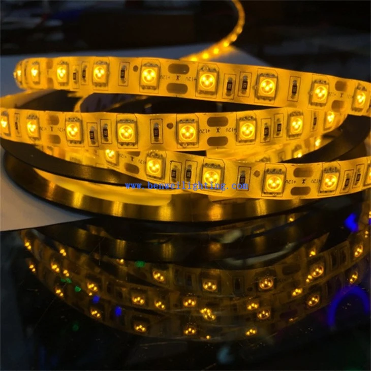 Flexible Rope Light (3)