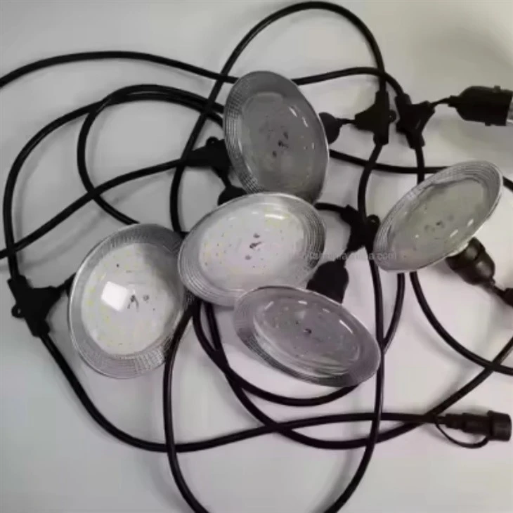 Full Spectrum Dragon Fruit LED Grow Bulb Light manufacturers