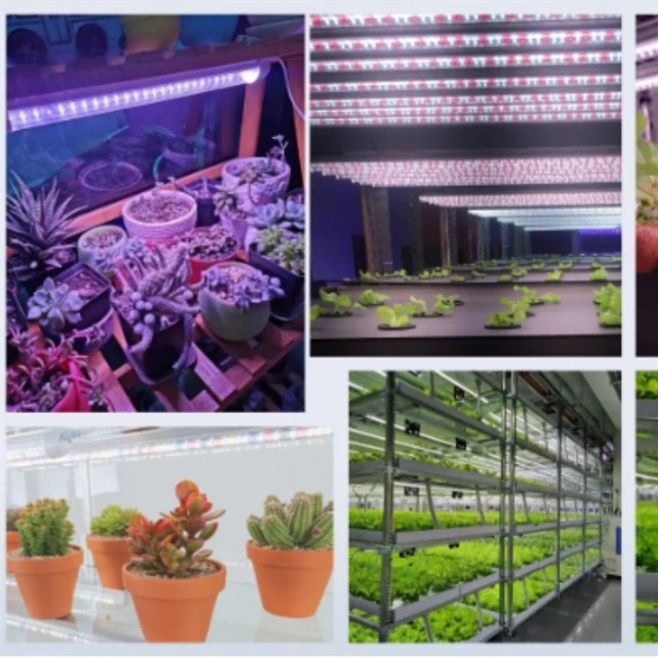 Full Spectrum Hydroponic T8 Plant Led Grow Light best