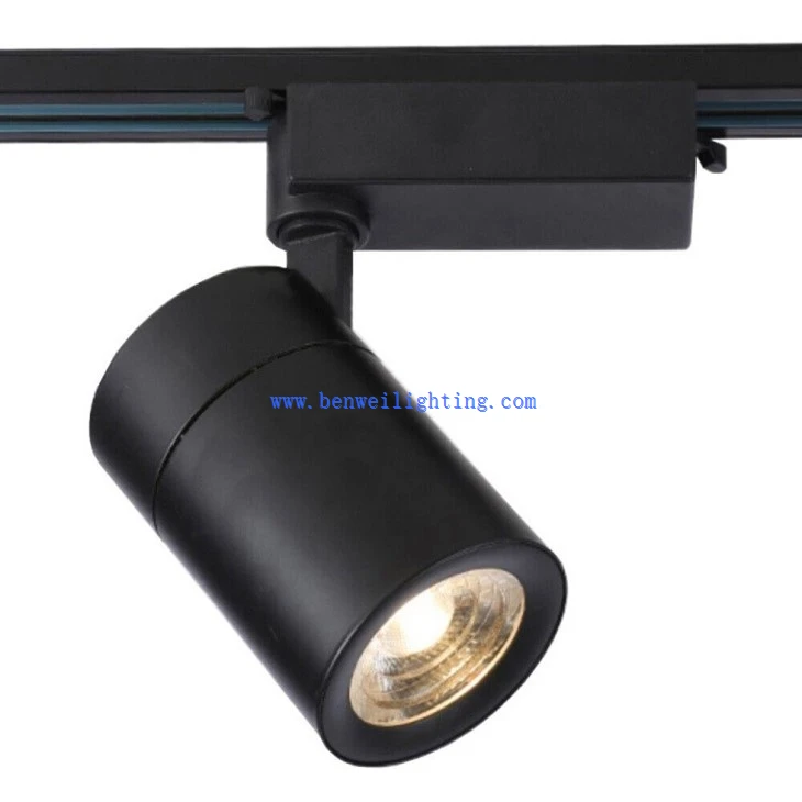 Home Track Light (3)