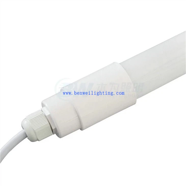 Horse Poultry Light (4)