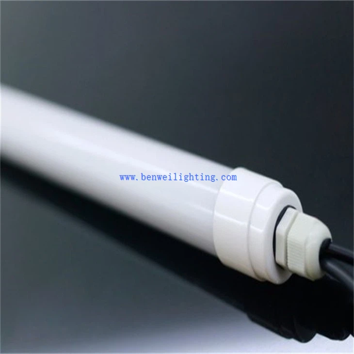 Horse Poultry Light (2)