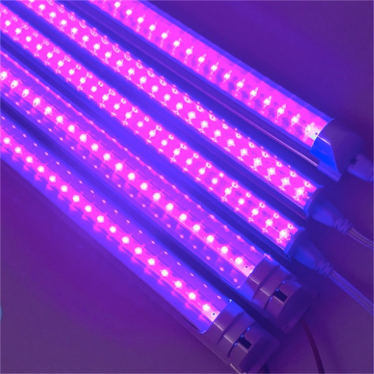 Antibacterial uv light Antibacterial uv light