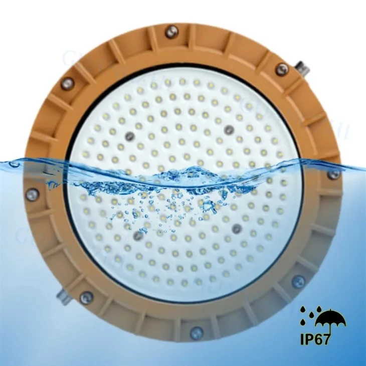 LED Explosion Proof FloodLight/Street Light