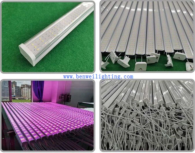 LED Grow Light