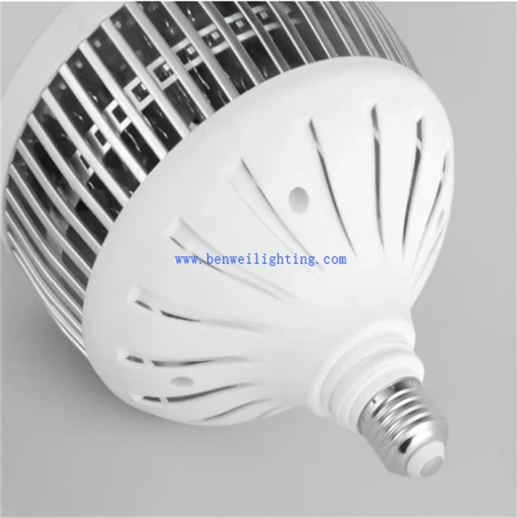 Plastic Cover Bulb (2)