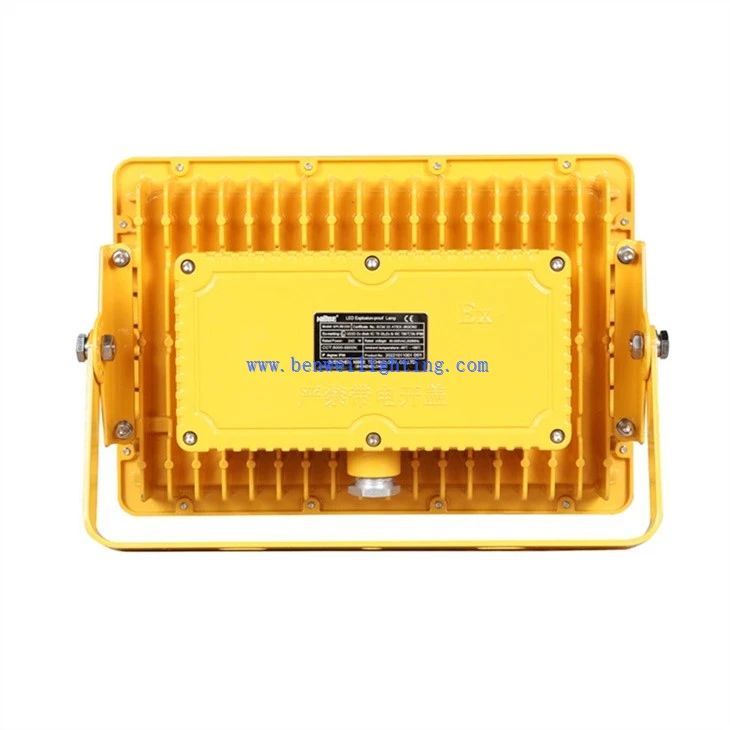 Portable Work Floodlight (4)