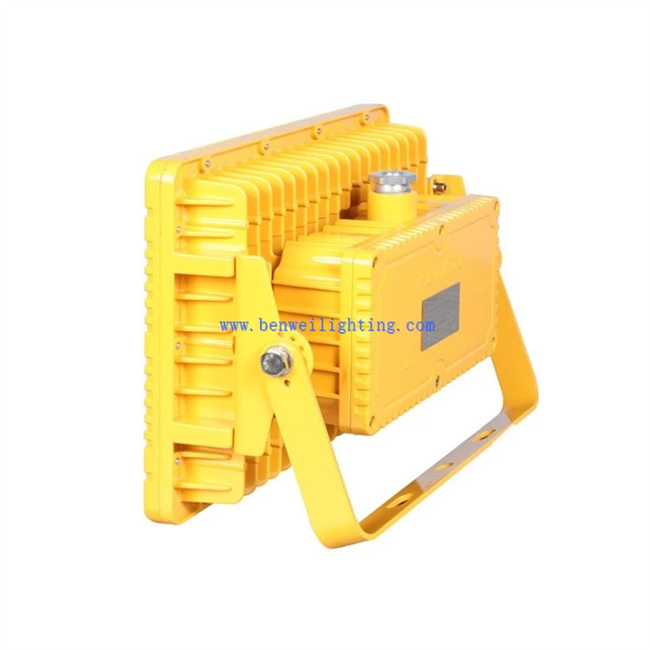 Portable Work Floodlight (5)
