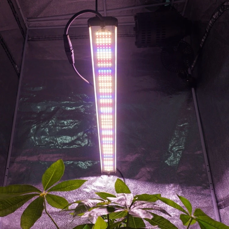 Blue LED Grow Lights Blue LED Grow Lights