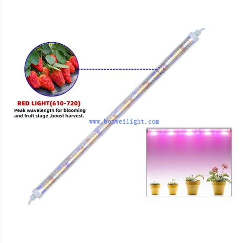 7174F202767526A318C9C4015BB5796A