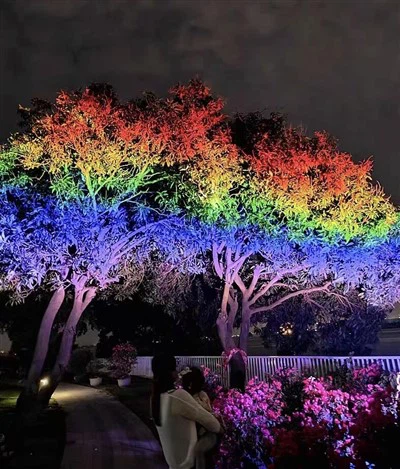 150LM/W reflektor bez treperenja