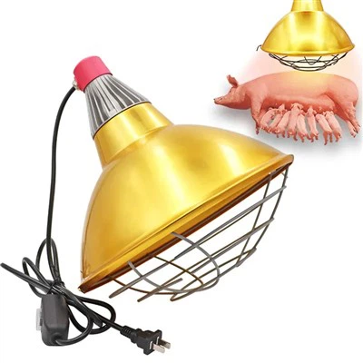 60CM Poultry Light
